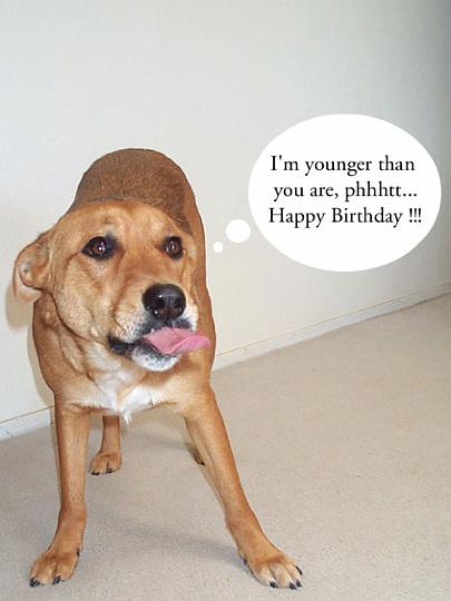 belated birthday wishes.jpg